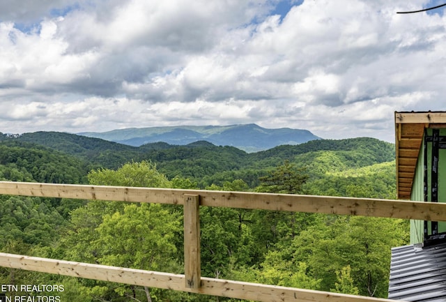 2845 Red Sky Dr, Sevierville, TN 37862 - photo 17