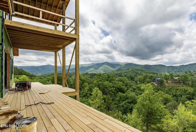 2845 Red Sky Dr, Sevierville, TN 37862 - photo 19