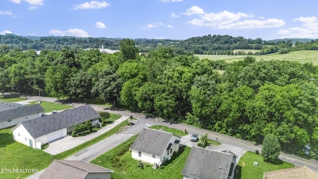 1733 Snapp Rd, Sevierville, TN 37862 - photo 21