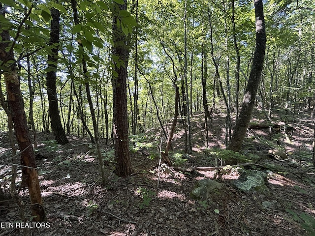 LOT25 Escape Dr, Evensville, TN 37332 - photo 8