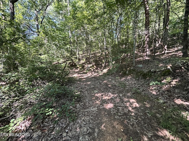 LOT25 Escape Dr, Evensville, TN 37332 - photo 9