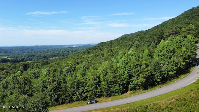 LOT25 Escape Dr, Evensville, TN 37332 - photo 5