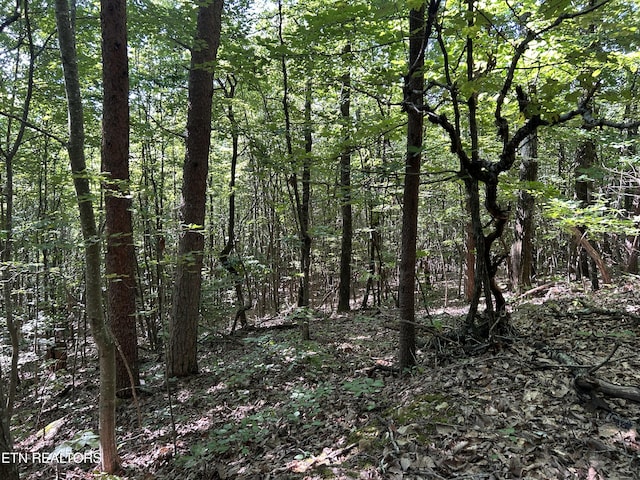 LOT25 Escape Dr, Evensville, TN 37332 - photo 10