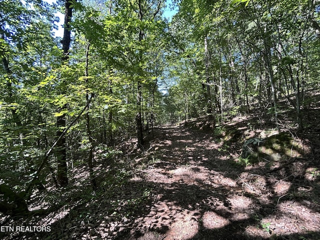 LOT25 Escape Dr, Evensville, TN 37332 - photo 11