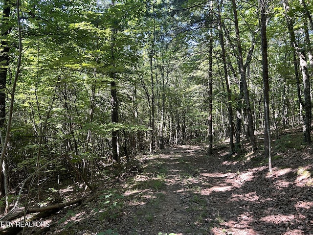 LOT25 Escape Dr, Evensville, TN 37332 - photo 12
