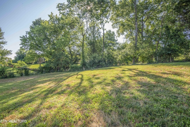 1106 Bradshaw Garden Rd, Knoxville, TN 37912 - photo 39