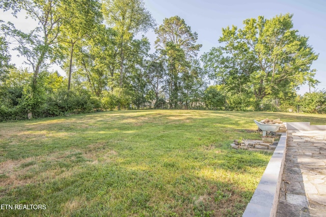 1106 Bradshaw Garden Rd, Knoxville, TN 37912 - photo 34