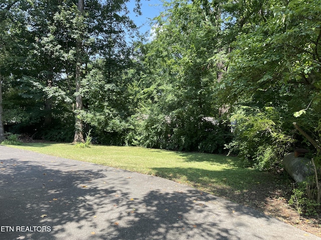 108 Hickory Dr, Maryville, TN 37804 - photo 4