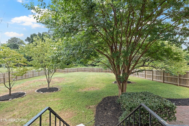 913 Green Hills Rd, Knoxville, TN 37919 - photo 8