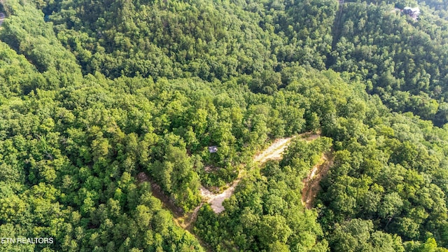 1017 Big Buck Trl, Townsend, TN 37882 - photo 5