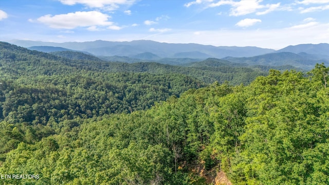 1017 Big Buck Trl, Townsend, TN 37882 - photo 1