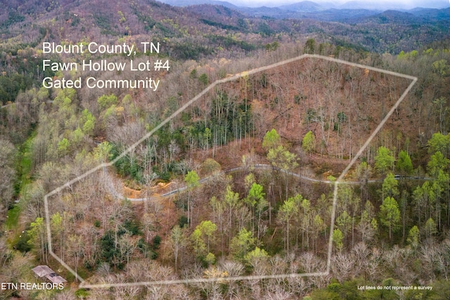 1017 Big Buck Trl, Townsend, TN 37882 - photo 13