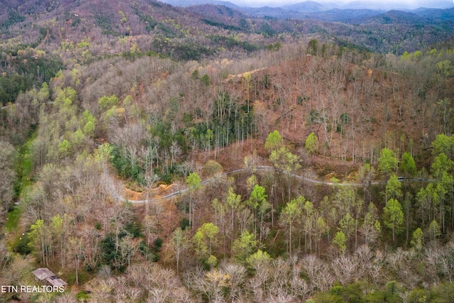 1017 Big Buck Trl, Townsend, TN 37882 - photo 14