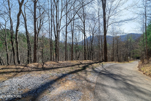 1017 Big Buck Trl, Townsend, TN 37882 - photo 15