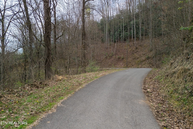 1017 Big Buck Trl, Townsend, TN 37882 - photo 16
