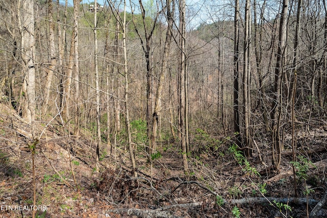 1017 Big Buck Trl, Townsend, TN 37882 - photo 17