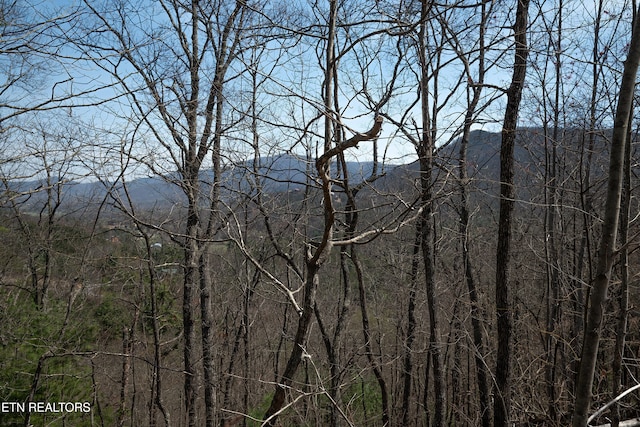 1017 Big Buck Trl, Townsend, TN 37882 - photo 18