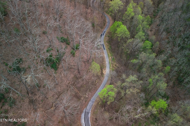 1017 Big Buck Trl, Townsend, TN 37882 - photo 19