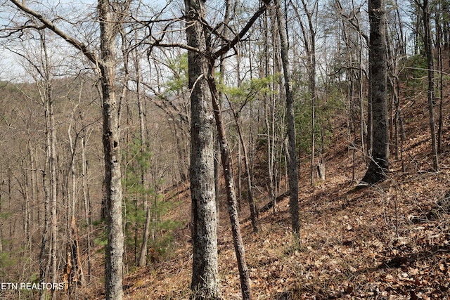 1017 Big Buck Trl, Townsend, TN 37882 - photo 20