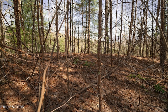 1017 Big Buck Trl, Townsend, TN 37882 - photo 21