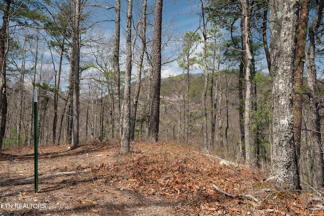 1017 Big Buck Trl, Townsend, TN 37882 - photo 22