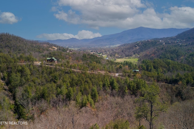 1017 Big Buck Trl, Townsend, TN 37882 - photo 23