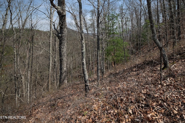 1017 Big Buck Trl, Townsend, TN 37882 - photo 24