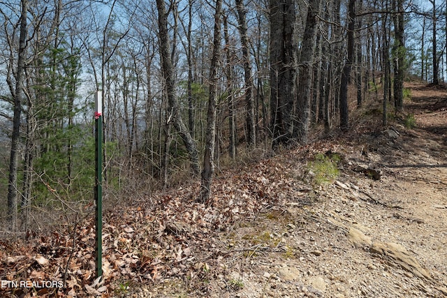 1017 Big Buck Trl, Townsend, TN 37882 - photo 25
