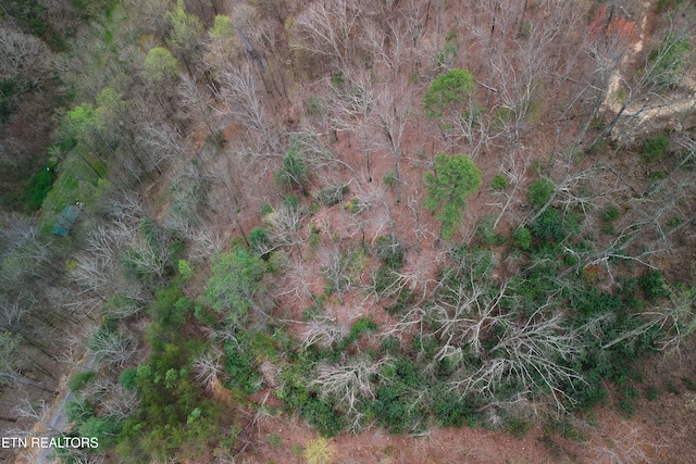 1017 Big Buck Trl, Townsend, TN 37882 - photo 27