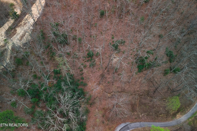 1017 Big Buck Trl, Townsend, TN 37882 - photo 28