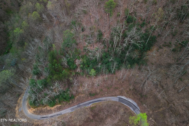 1017 Big Buck Trl, Townsend, TN 37882 - photo 29
