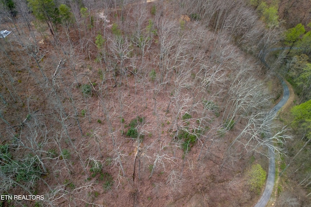 1017 Big Buck Trl, Townsend, TN 37882 - photo 31