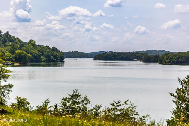 1131 Sanctuary Shores Way, Sevierville, TN 37876 - photo 27