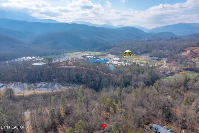 216 Whaley Dr, Gatlinburg, TN 37738 - photo 7