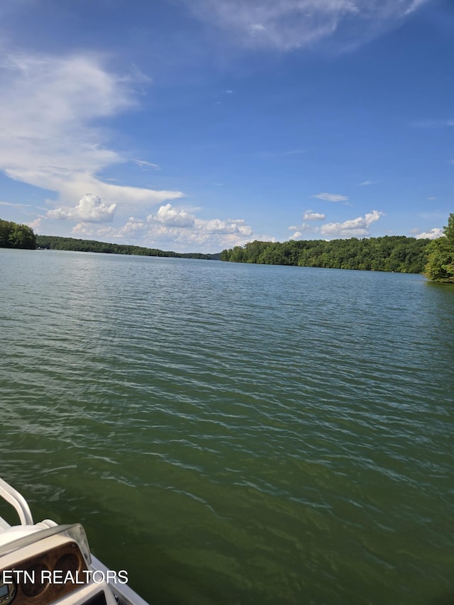 Soak Rd, Madisonville, TN 37354 - photo 2