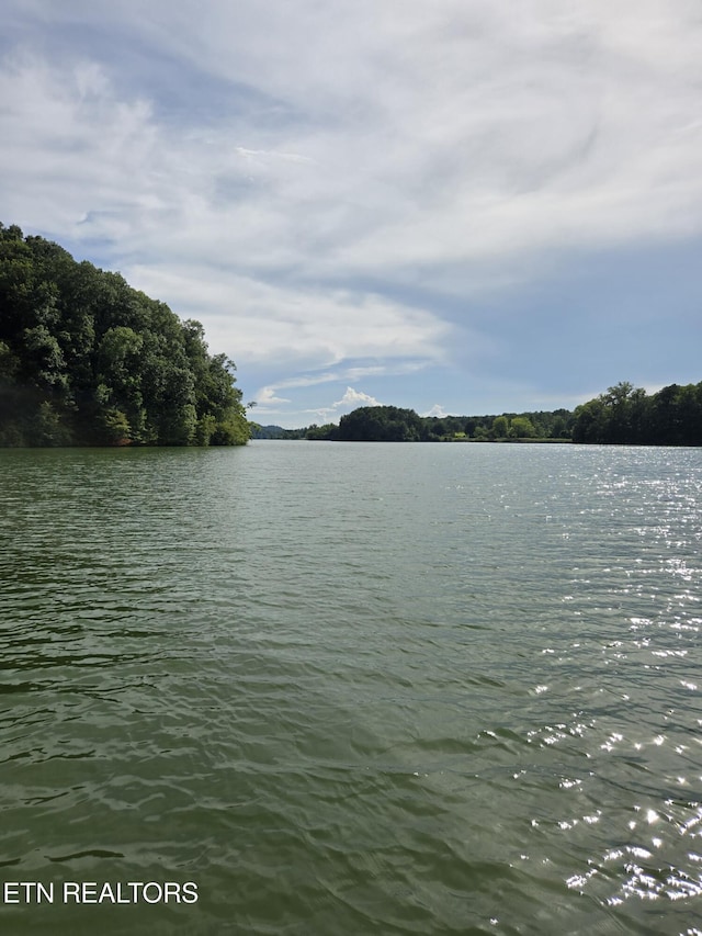Soak Rd, Madisonville, TN 37354 - photo 3