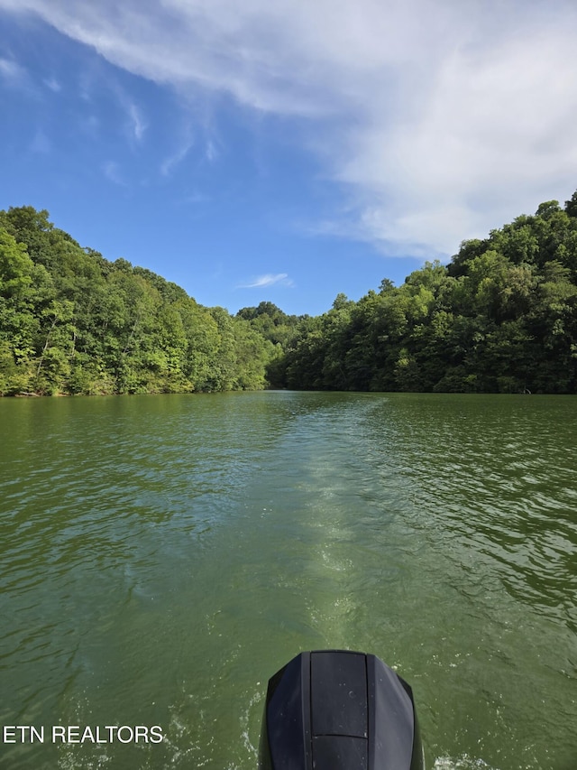Soak Rd, Madisonville, TN 37354 - photo 4