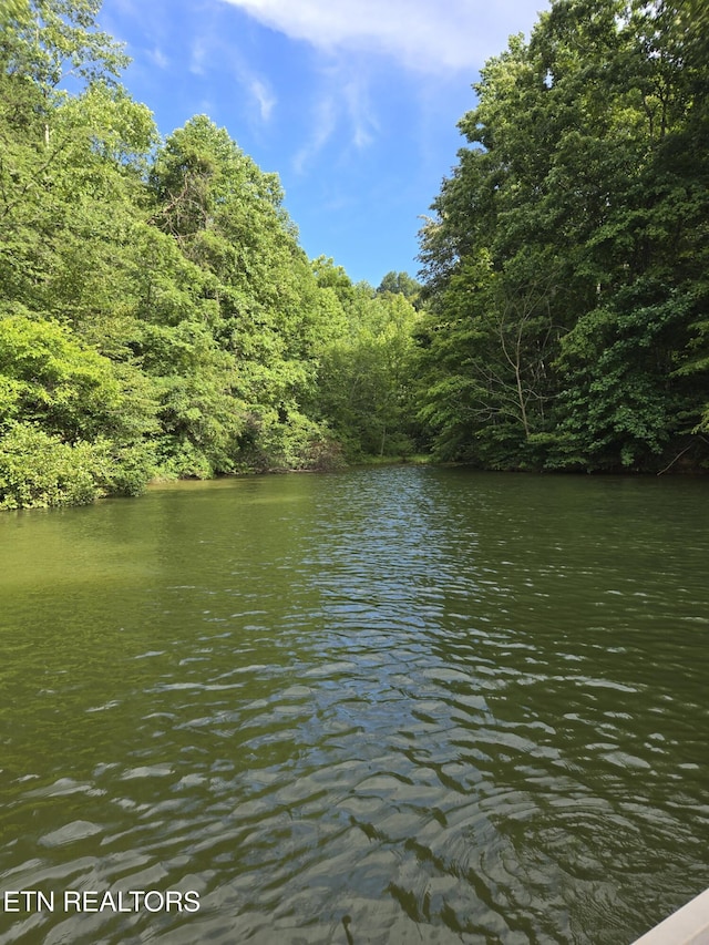 Soak Rd, Madisonville, TN 37354 - photo 8
