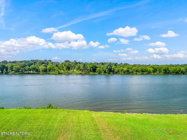 560 Silent River Ln, Loudon, TN 37774 - photo 57