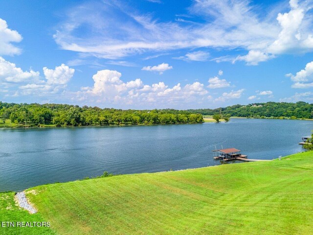 560 Silent River Ln, Loudon, TN 37774 - photo 58