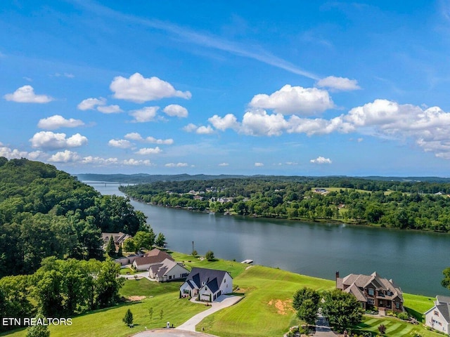560 Silent River Ln, Loudon, TN 37774 - photo 59