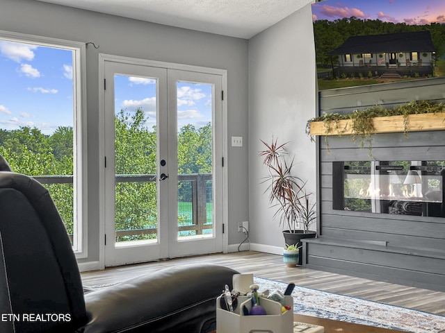 1033 Sunset View Rd, Sevierville, TN 37876 - doorway to outside featuring french doors and wood finished floors