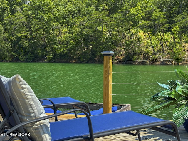 1033 Sunset View Rd, Sevierville, TN 37876 - dock area with a water view and a wooded view