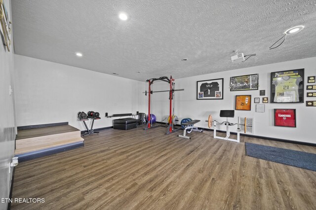 1033 Sunset View Rd, Sevierville, TN 37876 - workout room featuring wood finished floors, a textured ceiling, and recessed lighting