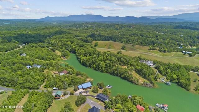1033 Sunset View Rd, Sevierville, TN 37876 - view of property location with a water and mountain view and a forest