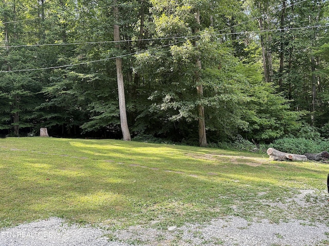 278 Buell Hill Rd, Pineville, KY 40977 - view of green lawn with a view of trees