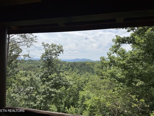 2026 Cougar Crossing Way, Sevierville, TN 37876