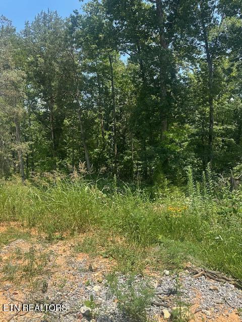 412 Elohi Pl, Loudon, TN 37774 - photo 1