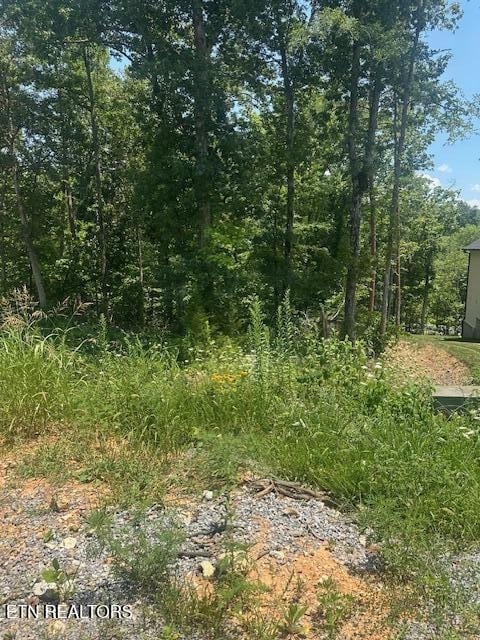 412 Elohi Pl, Loudon, TN 37774 - photo 2