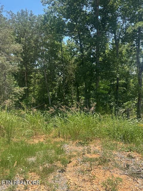 412 Elohi Pl, Loudon, TN 37774 - photo 3
